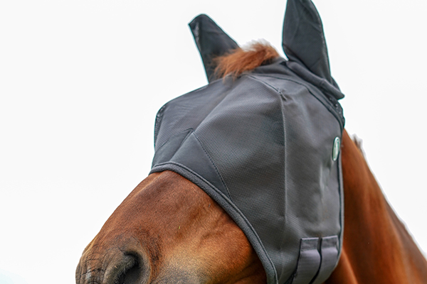 EMOUCHINE FLY MASK WITH EARS