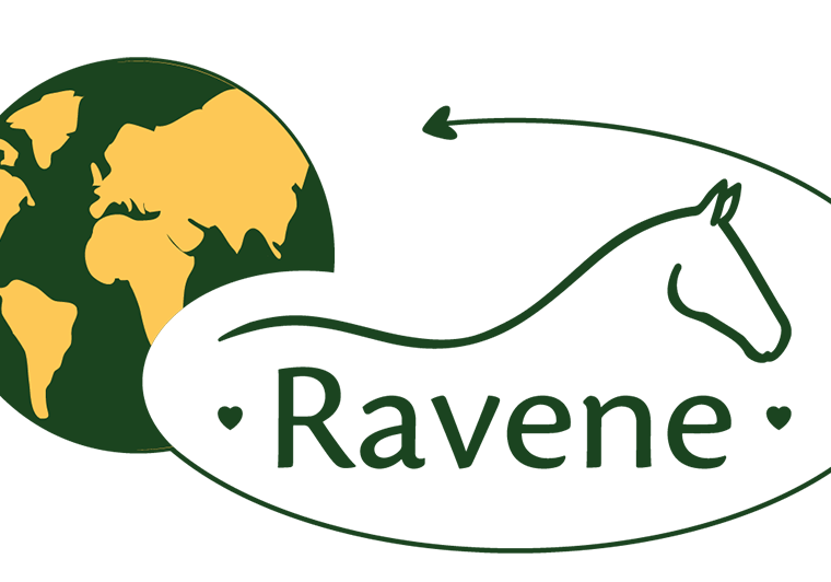 Le protocole sur-mesure soins des sabots by Ravene - Ravene