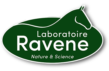 Ravene