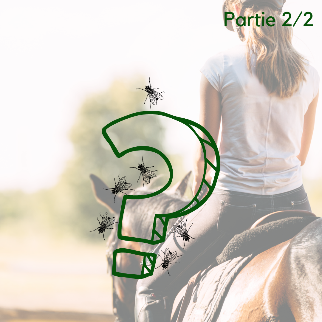 Comment définir un protocole anti-insectes sur mesure pour mon cheval ? – Partie 2/2