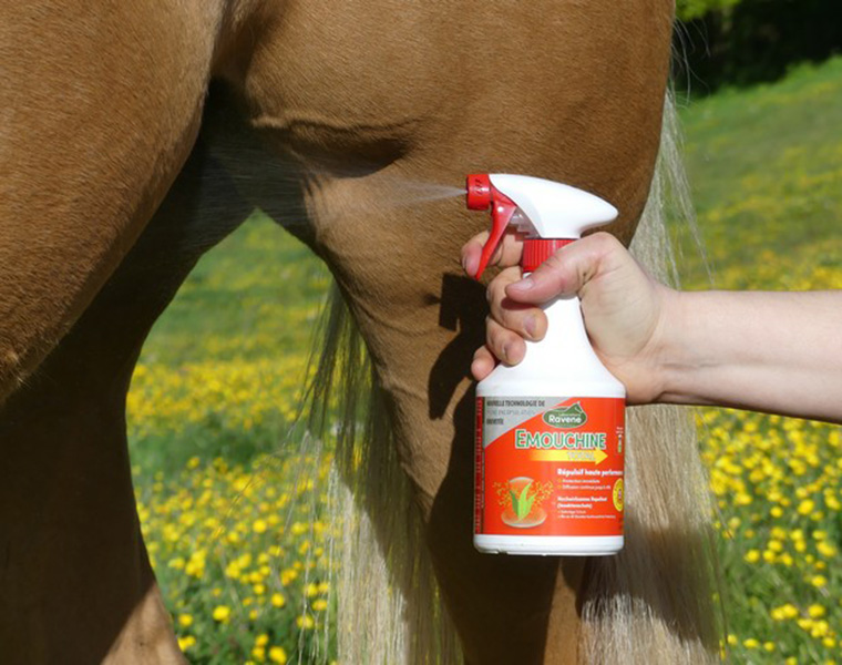 Mon cheval ne supporte pas le spray. Comment le protéger des insectes ?