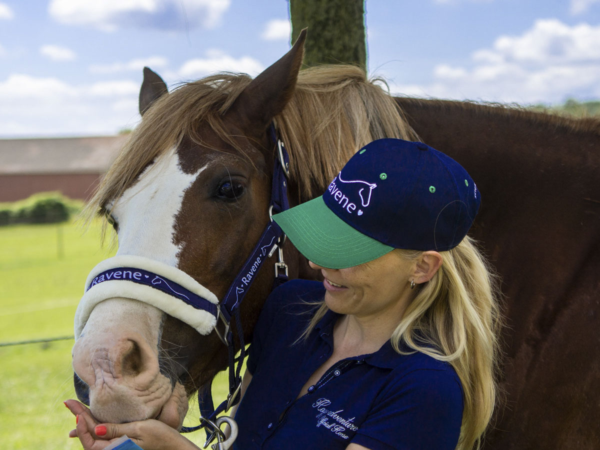 Friandises pour Chevaux - Husse