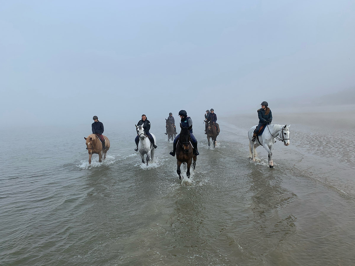 L’hiver d’un cheval de haut niveau