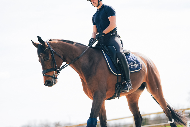 L’importance des électrolytes chez le cheval