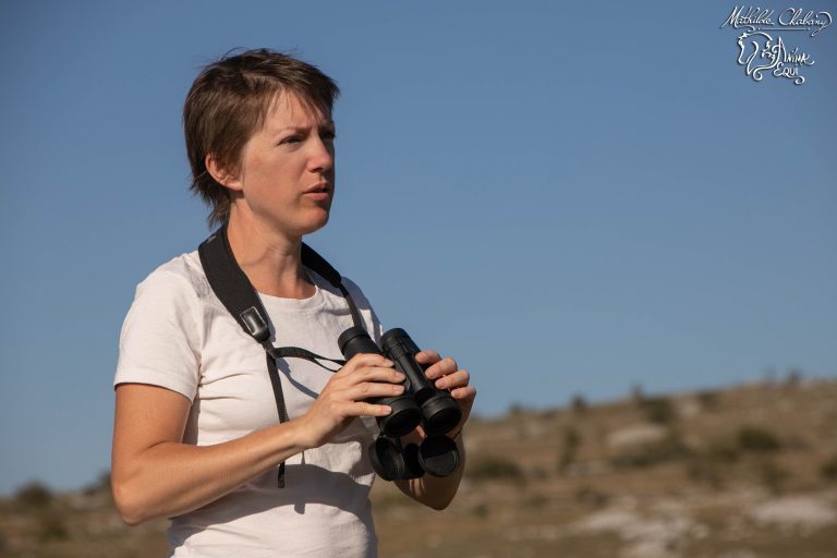 Hélène Roche