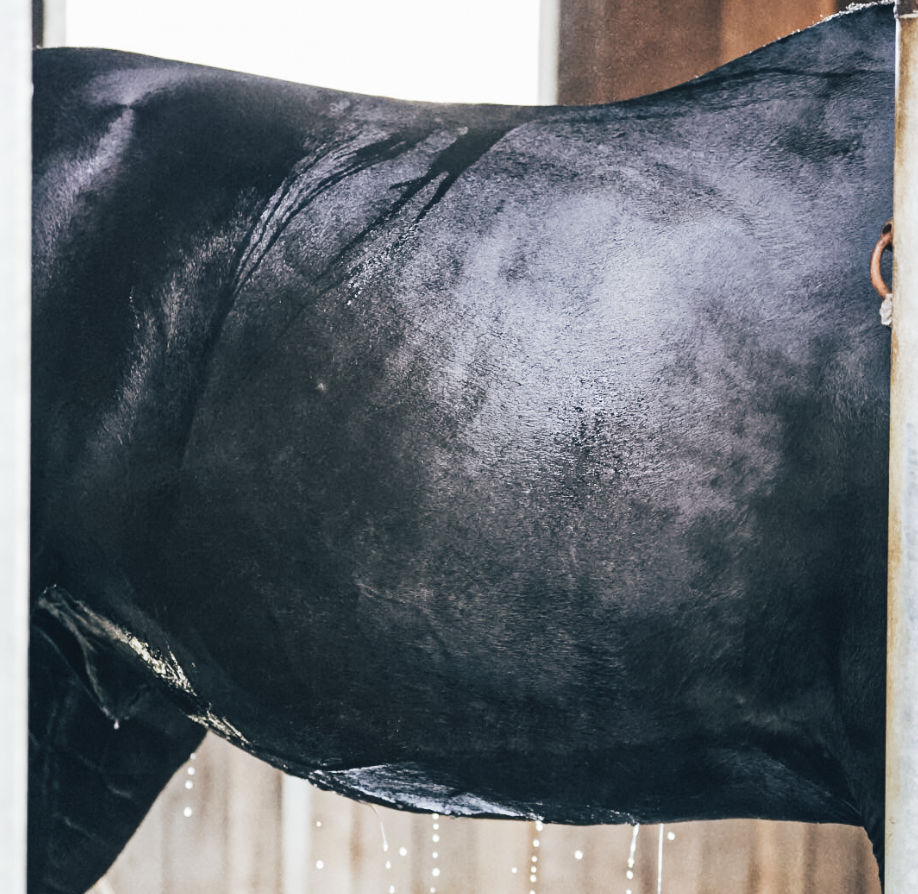 Saison estivale : Gestion de la chaleur