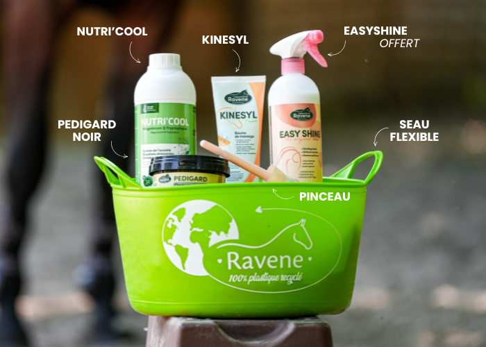 PACK – NUTRI’COOL