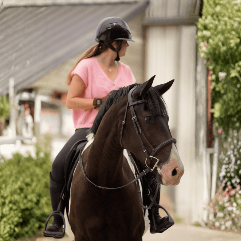 Acheter un cheval ou prendre une demi-pension : quel choix faire ?