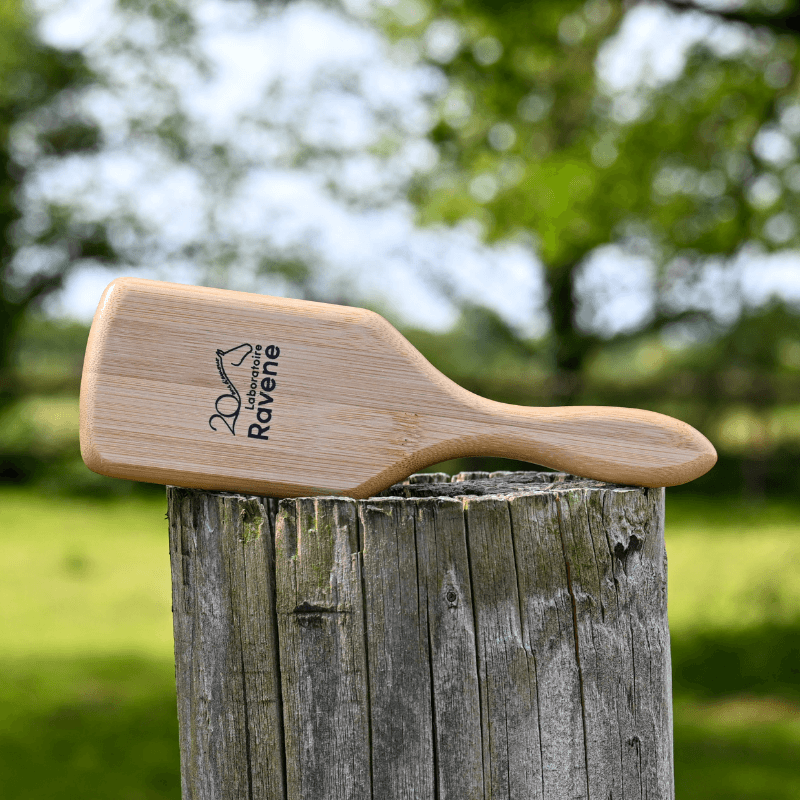 Brosse 20 ans Ravene