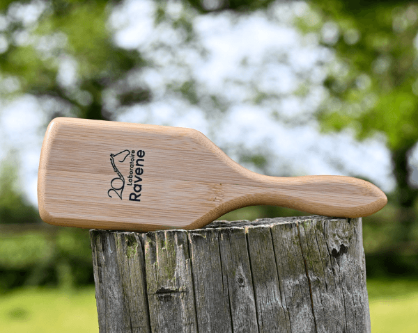 Brosse 20 ans Ravene