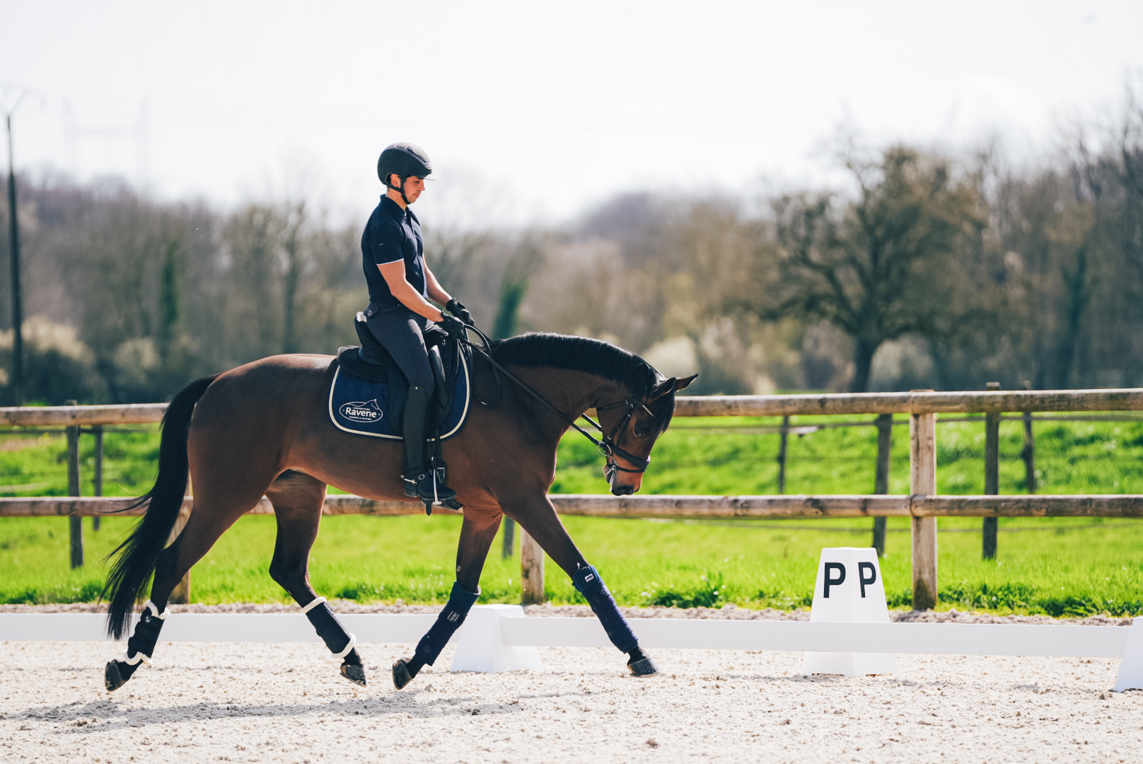CHEVAL DROITIER<br>OU GAUCHER ?